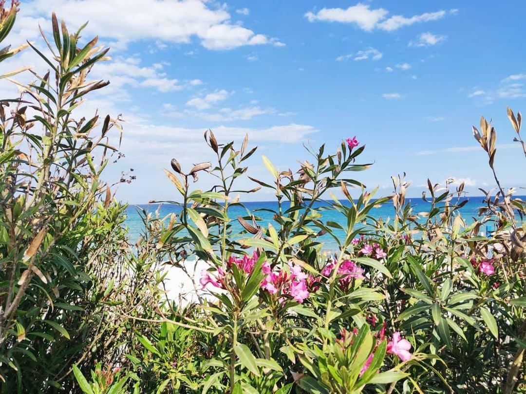 Overlookingsea Lido di Noto エクステリア 写真